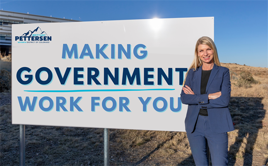 Making Government Work For You